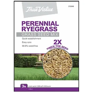 212 MAIN Perennial Rye Grass Seed, Barenbrug USA TV Variety, 3LB Bag, High Coverage Rye Grass Perennial Seed