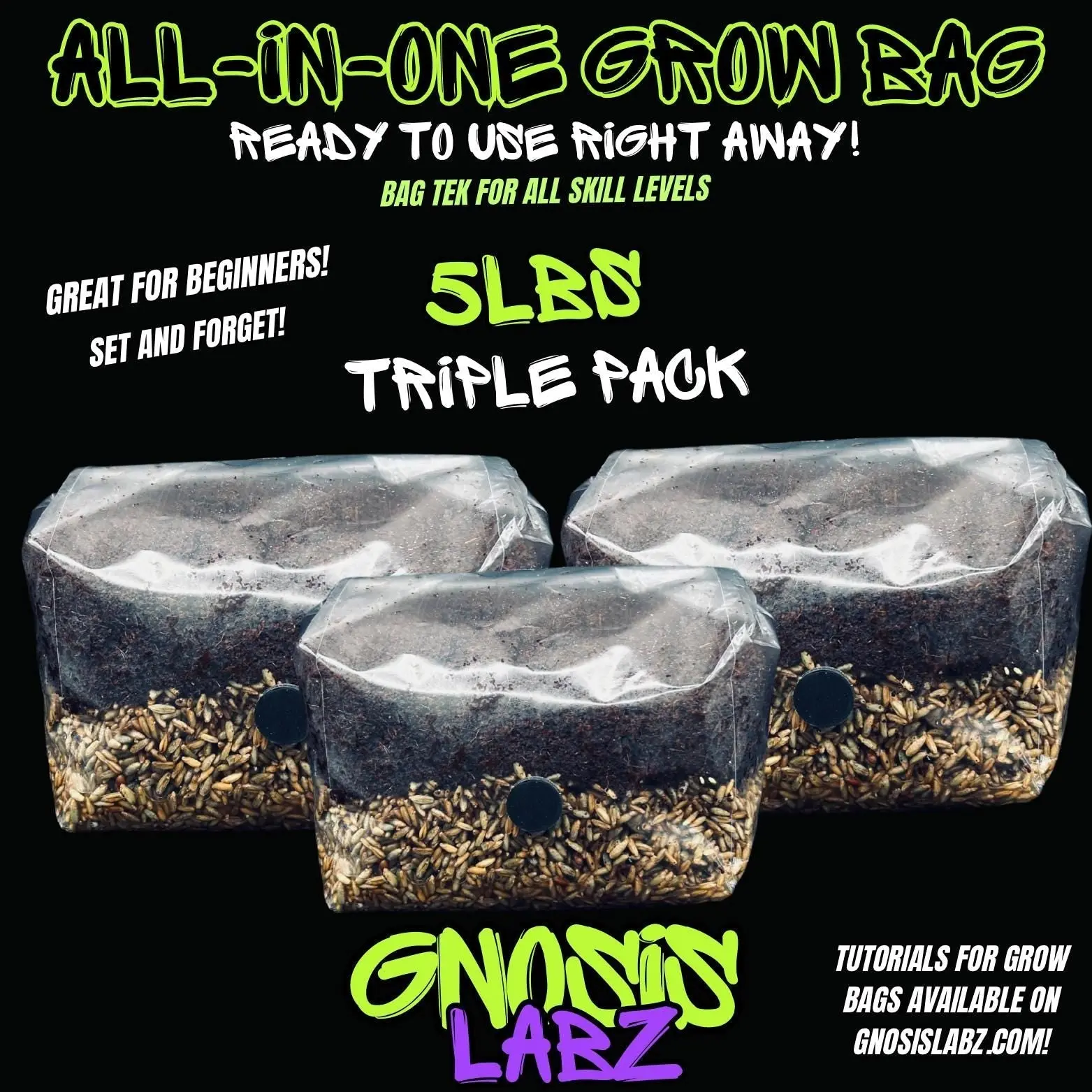 Triple Pack 5 lb All-in-1 Mushroom Grow Bags - Each with Injection Port, Filter Patch for Home Garden Mushroom Cultivation