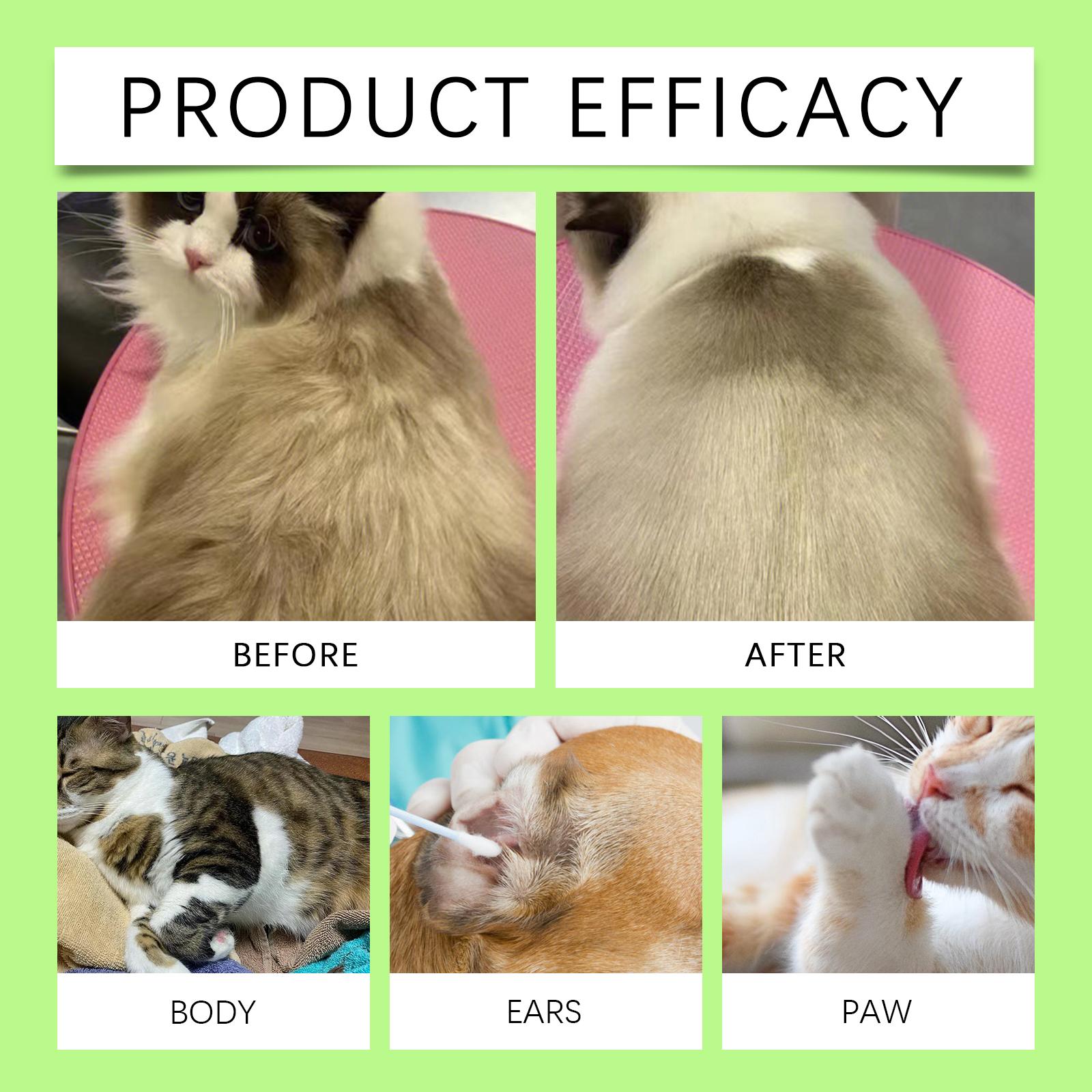 Pet Cleaning Disposable Gloves - Non-Soap Cleaning Gloves for Removing Dirt and Odors from Cats and Dogs' Bodies