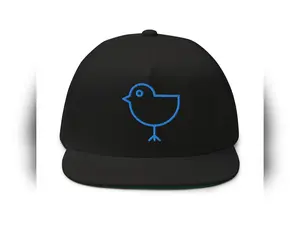 Birdie Golf Hat