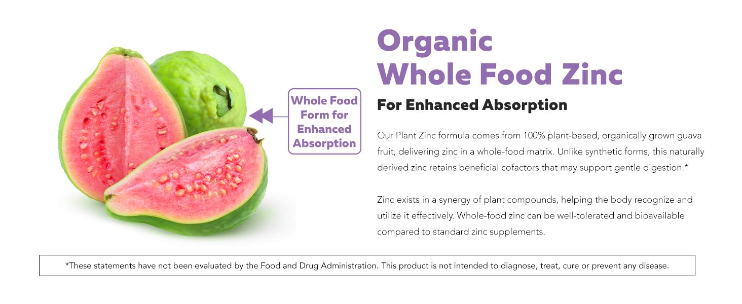 Organic Zinc 25 mg | Whole Food Zinc from Organic Fruit – Water Extracted, Vegan, GMO-Free – Supports Skin, Immunity & Antioxidant Health –60 Servings Supplement Nutrition