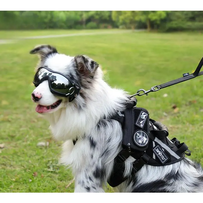Vest-Style Artificial Leather Dog Harness Set with Collar & Lead, for Medium-Large Dogs, Ideal for Hiking & Outdoor Use