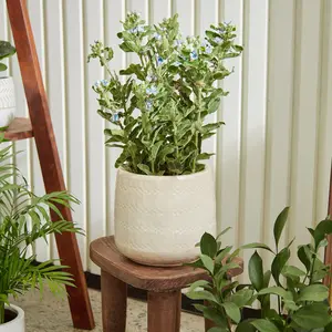 Ivoryte Ceramic Planter