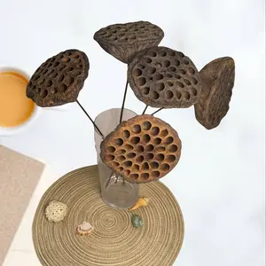Natural Dried Lotus Pods with Stems, 5Pcs 20 Inch Natural Brown Lotus Seed Heads - Real Dried Flowers for Vase, Zen Home Decor,Wedding Decor, Farmhouse Boho Rustic Home, Meditation Room