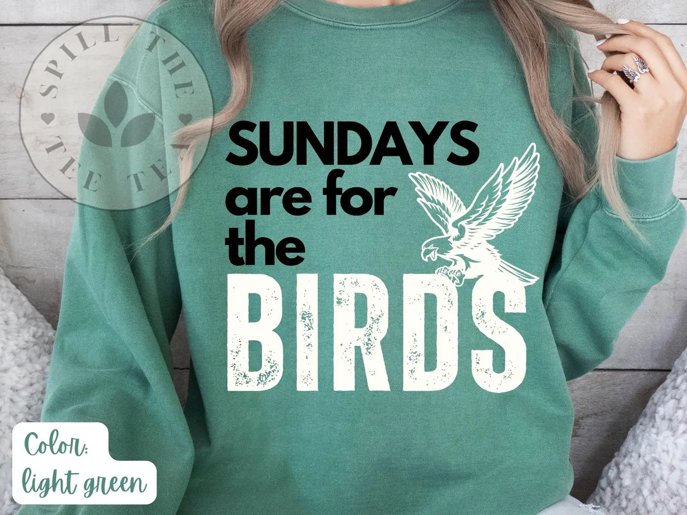 Philly Sweatshirt, Philadelphia Sweatshirt, Philadelphia Fan Sweatshirts, Philly Sports Gifts, Eagle Mascot Sweatshirt, Philly Gift