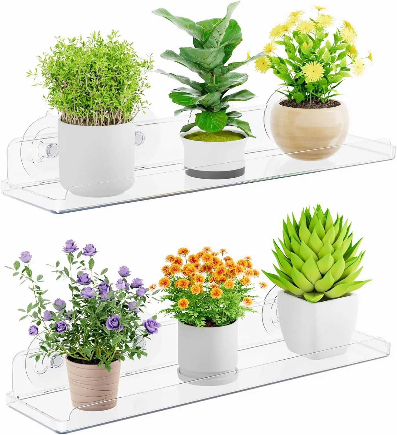Plastic Window Shelves Set, 2-Pack 14.6x3.6in (37x9cm) No-Drill Suction Cup Floating Shelves for Bathroom Mirror, Kitchen Wall - Easy-Install Home Decor for Indoor Micro Greens, Shelf