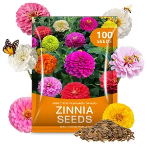[Hot] California Giants Zinnia Seeds – Mixed Colors, Beginner-Friendly Garden Flowers