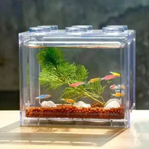 Mini Small Block Betta Fish Tank Transparent Office Desktop Scenery Creative Goldfish Tank Thai Internet Celebrity Betta Box