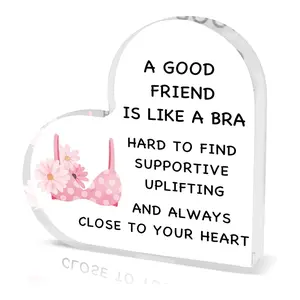 Heart Shaped Acrylic Ornament, Funny Best Friend Birthday Gift, Best Friend Definition Gift, Bra Shaped Gift for Her, Friendship Gift, Decor