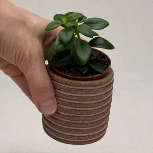 Small Shino Stripe Cylinder Planter