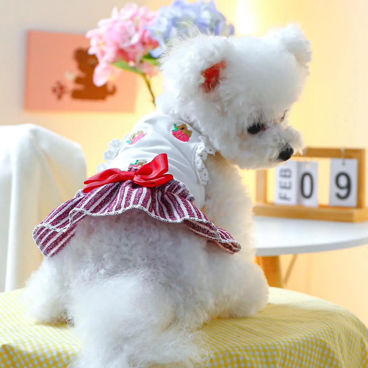 Strawberry Bear Embroidered Bow Pet Dress , Cute Summer Pet Clothes for Small Dogs Cats Puppies Doggies Kittens, Fashion Pets Dress Up Apparels