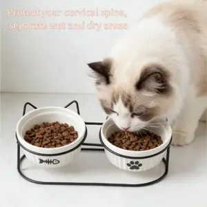 I used to worry about my cat's posture while eating... now this bowl takes care of it