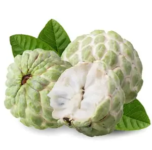 10 Seeds Sugar Apple Seeds for Planting, Sweetsop Seeds Annona Squamosa Seeds Tropical Fruit for Garden