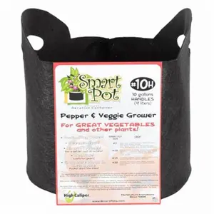 212 MAIN High-Caliper Smart Pot Hydroponic System - 10 gal Tank Vegetable Grower, Soft Fabric Design, Heat Release, Garden-Friendly for Vegetables & Peppers