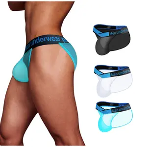 Men's Bikini Briefs Silky Smooth Sexy Seamless Boy Pouch Brief See Through Underwear Back Low-Rise Sports Underwear