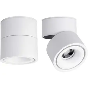 LED Ceiling Spotlight-Indoor 360 ° Adjustable Surface Mounted 10W COB Ceiling Downlight-Wall Lamp for Picture Background Wall Display Lighting(White,4000K Natural Light)
