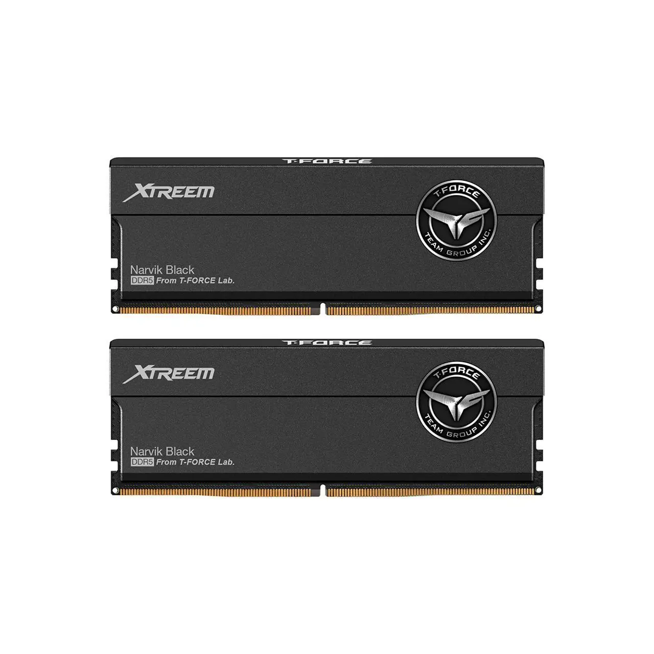 Team Xtreem 32GB (2 x 16GB) 288-Pin PC RAM DDR5 6400 (PC5 51200) Desktop Memory Model FFXD532G6400HC32ADC01