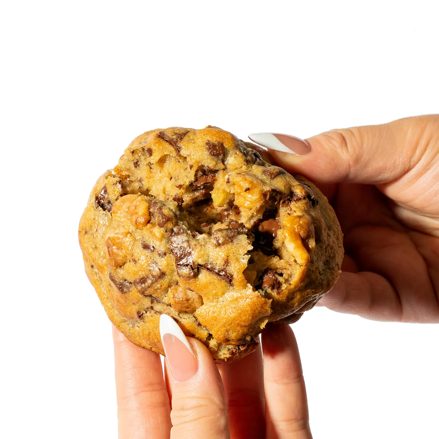 Beverly Hills Walnut Chocolate Chunk Cookie