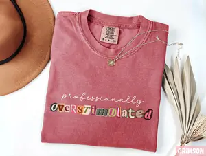 Comfort Colors Professionally Overstimulated Shirt, Teacher Tee, Funny Back To School Gift Educator, Retro Lettering T-Shirt, Y2K Aesthetic