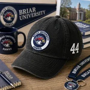 Briar University Embroidered Hat, Off Campus Baseball Cap, Hockey Romantic College Apparel, Gift for Readers