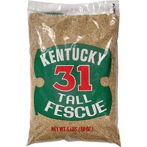212 MAIN Barenbrug 16205 5 lbs. Kentucky Tall Fescue Grass Seed - Fescue Variety for Household Textiles, Carpets, Rugs, Kentucky Grass