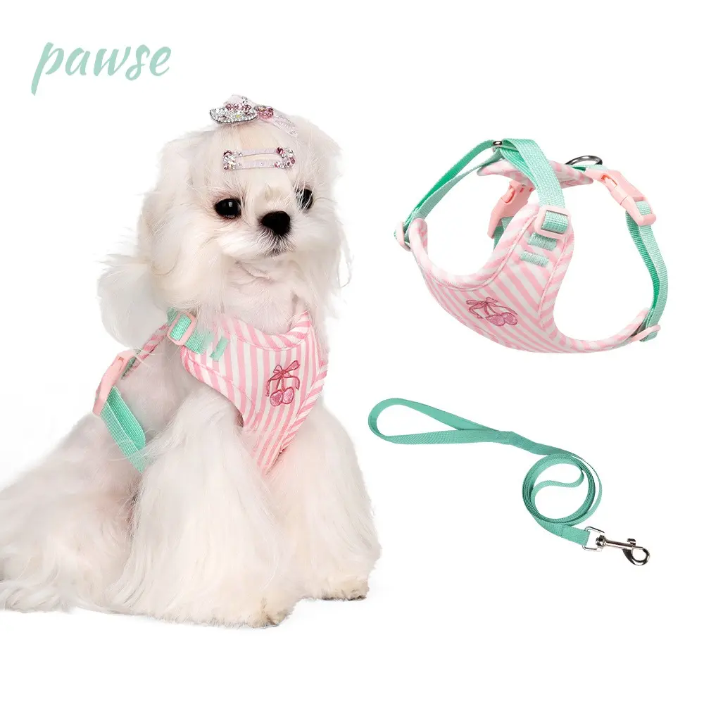 Cute Dog Vest Harness with Leash, Escape-Proof Adjustable No-Pull Pet Harness for Small Medium Dogs, Soft Padded Dog Walking Harness