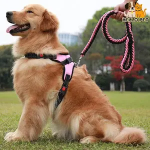 2025 Heavy Duty Adjustable Dog Harness & Leash Set for Large Dogs Comfortable Safety Walks S M L XL Sizes