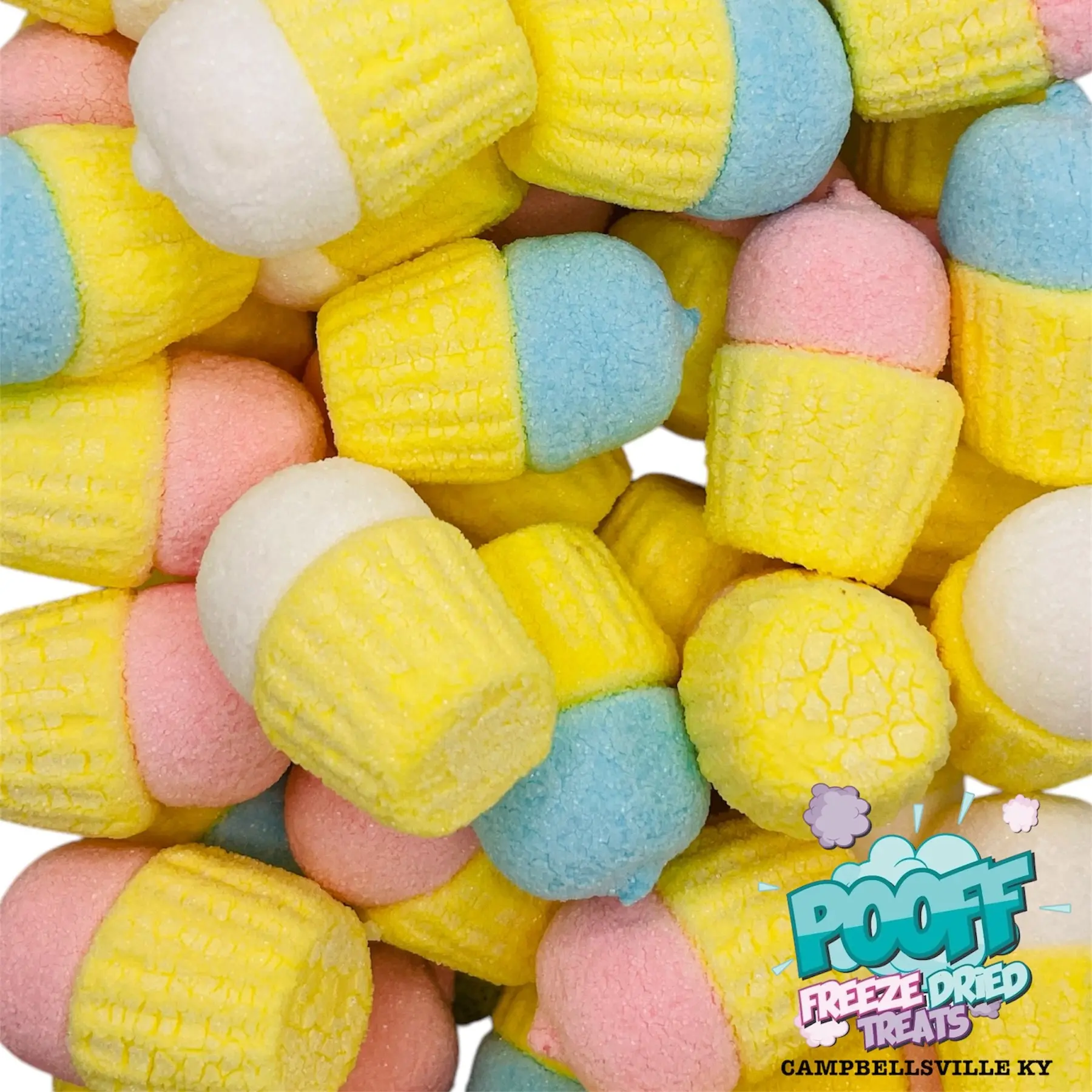 Freeze Dried Vanilla Marshmallows Freeze Dried Vanilla Marshmallows