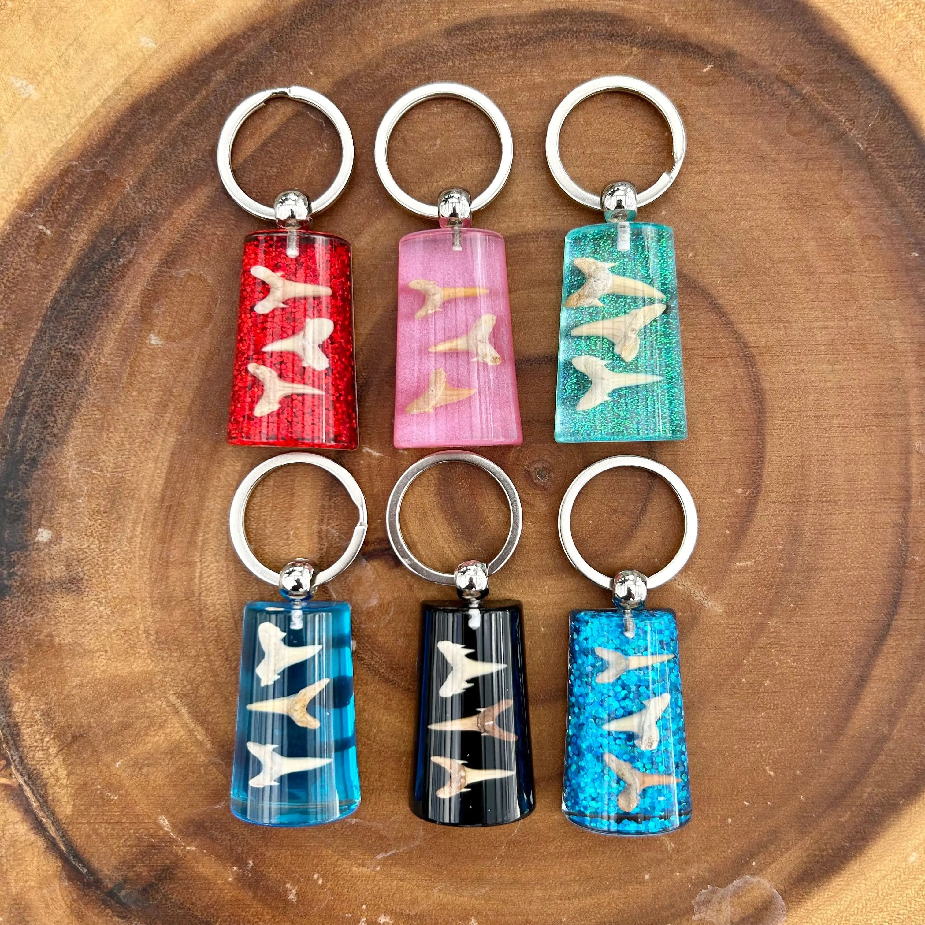 Fossil Shark Tooth Colorful Rectangular Keychain