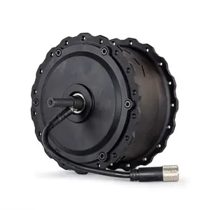 EOEOTWO E01 Ebike Rear Hub Motor 48V 1500W High Torque Brushless Motor for Fat Tire Electric Bike