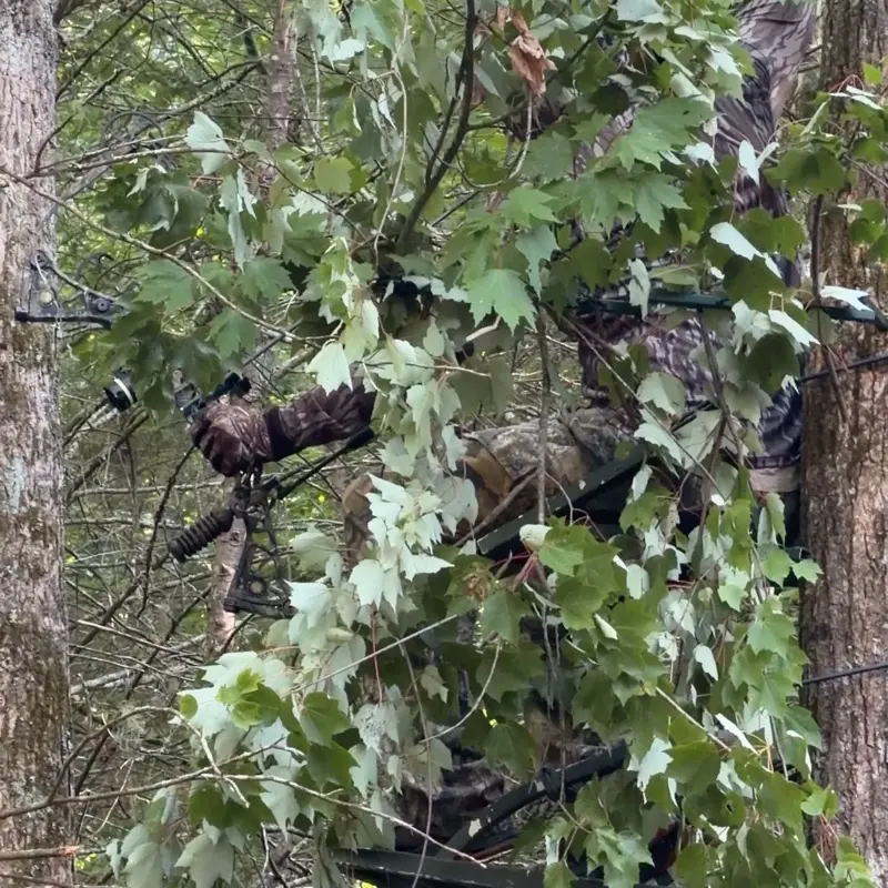 2 Tree Ninja Natural Branch-Hunting Blinds