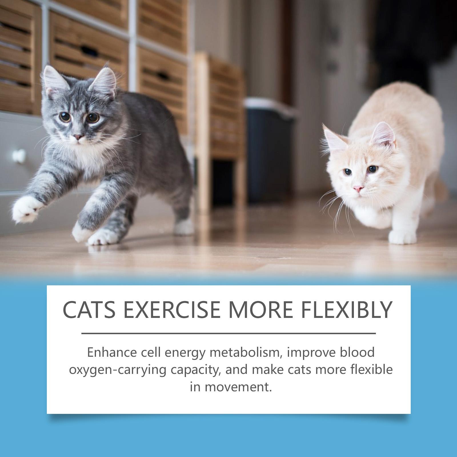 Coenzyme Tablets: A Health and Vitality Guardian  Specialized Coenzyme Q10 Supplement   to Absorb Nutrients.litter pellets, spray, litter tray, litter box, removal