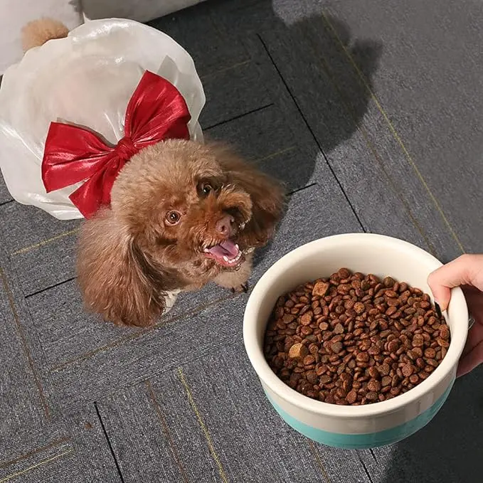 Ceramic Dog Bowls, Dog Food Dish for Small Dogs and Cat,Heavy Duty Porcelain Pet Bowl for Canned Food and Water