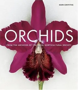 USED-Orchids by Mark Griffiths (Hardcover)