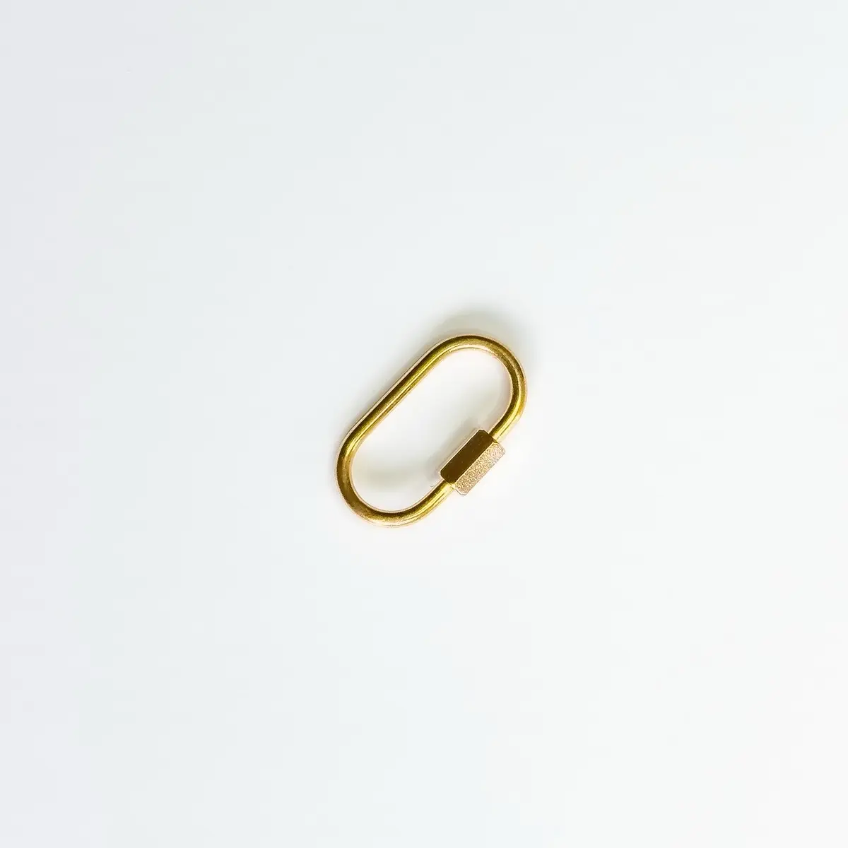 Wyentropy Carabiner Lock Charm - Waterproof  & Tarnish-resistant