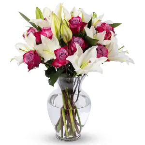 - Oriental Lilies & Lavender Roses (glass Vase Included) Fresh Flowers For Delivery Gift Graduation  Birthday Anniversary Sympathy Get Well Congratulations