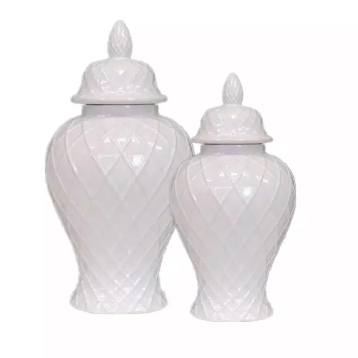 White ginger, model Diamond White ginger, model Diamond