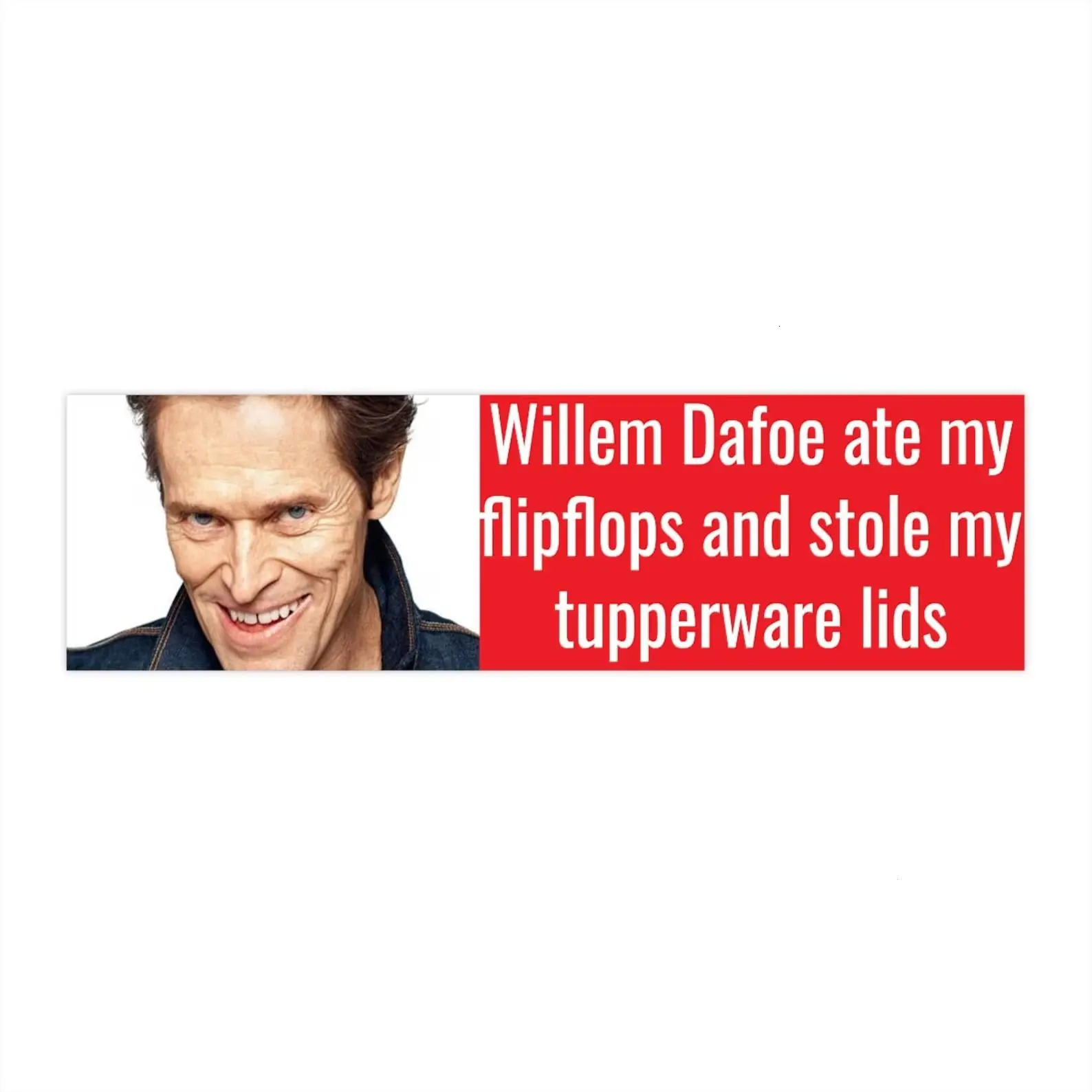 Funny Actor Meme Car Magnet, Ate My Flip Flops and Stole My Tupperware Lids, Humorous Bumper Magnet, Weatherproof Vehicle Decal, Novelty Gift for Cars