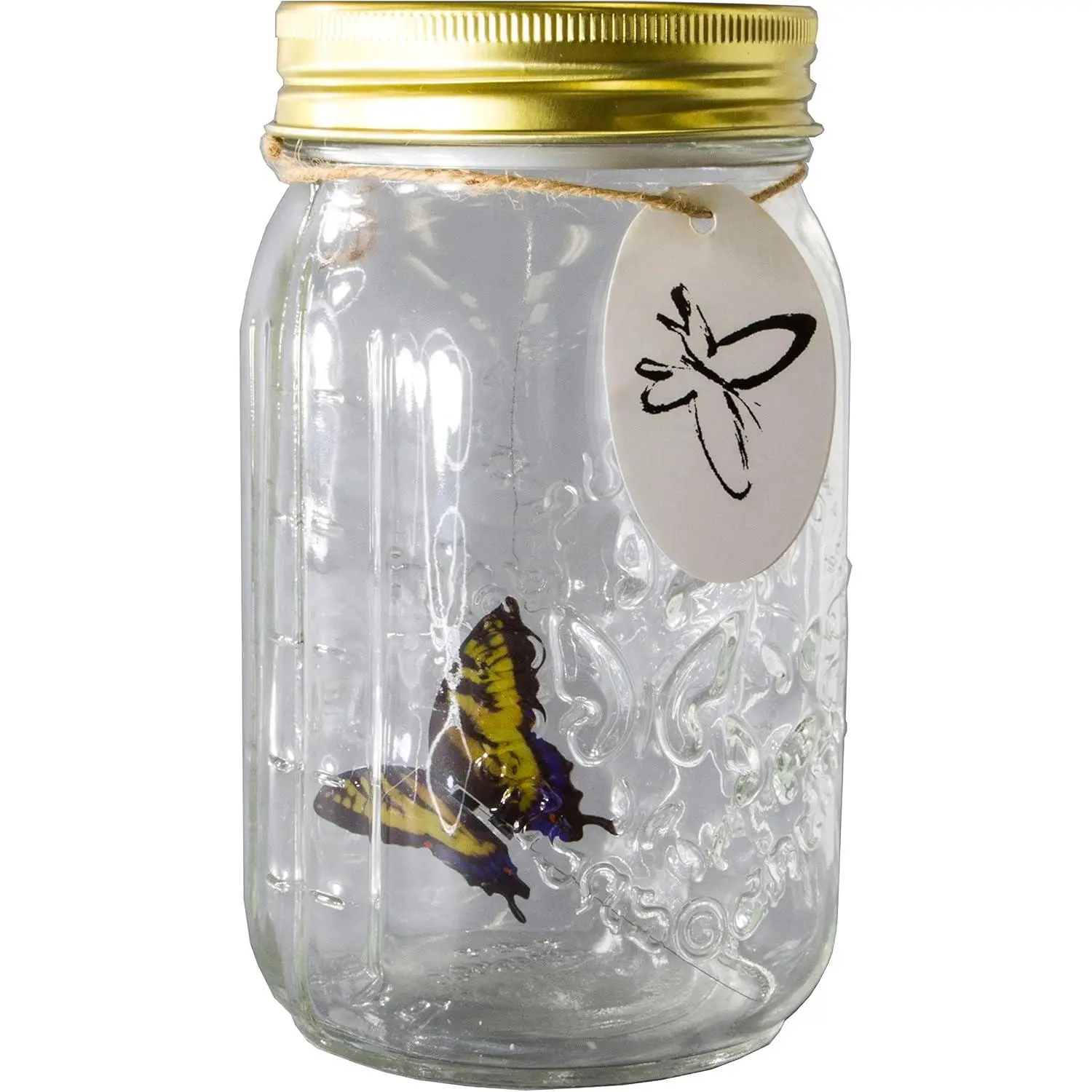 Animated Butterfly in a Jar Yellow Swallowtail Figurine by SciencePurchase