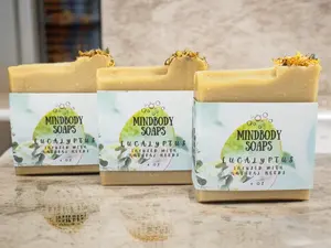 Eucalyptus Scent Handcraft Artisan Soap Bar Infused with Natural Herbs ~ Colloidal Oatmeal ~ Hibiscus Powder ~ Aloe Vera ~ Cold Process Soap