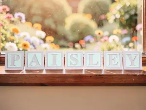 4" Personalized ABC Block Name Plates | 3D Printed Nursery, Classroom, Playroom Decor.