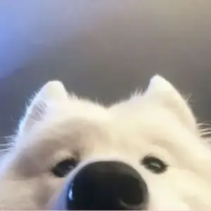 background preload poster image 