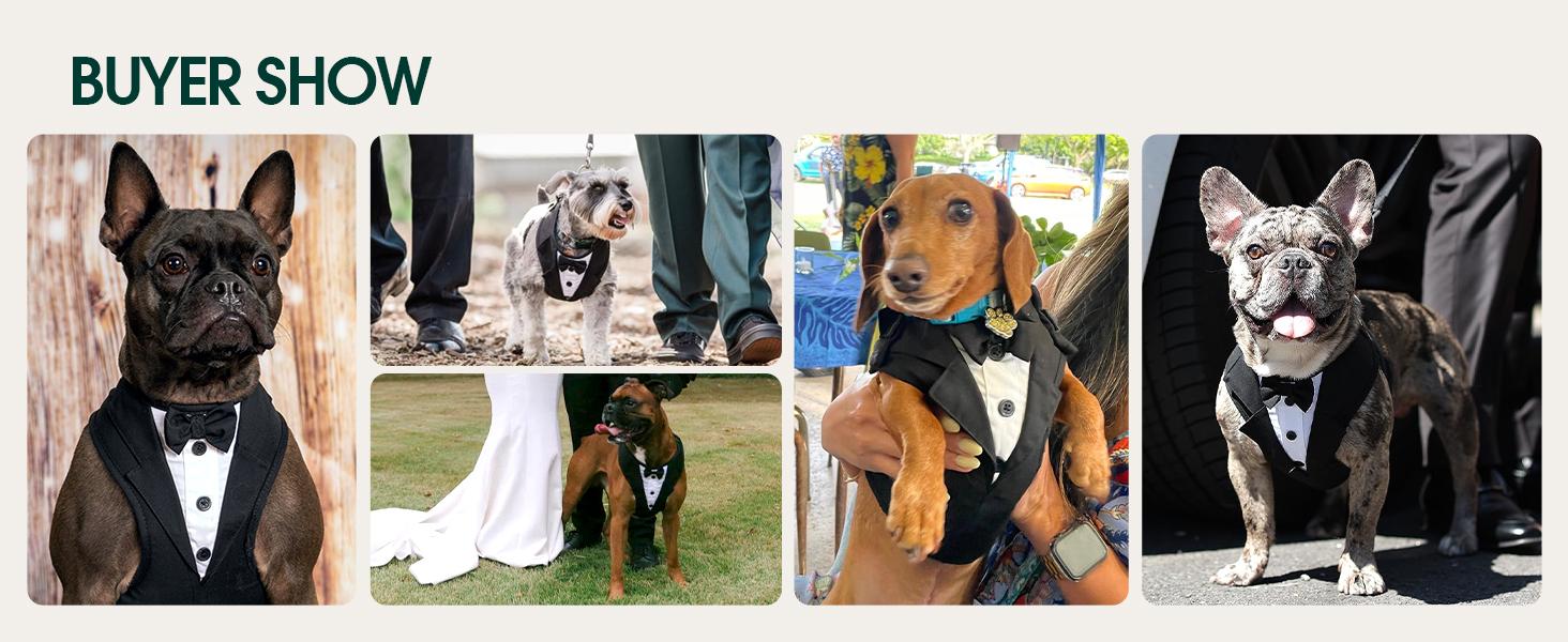Kuoser Dog Tuxedo Harness, Pet Harness No Pull for Small Medium Dogs | Adjustable Doggie Wedding Suit with Bow Tie Party Costume