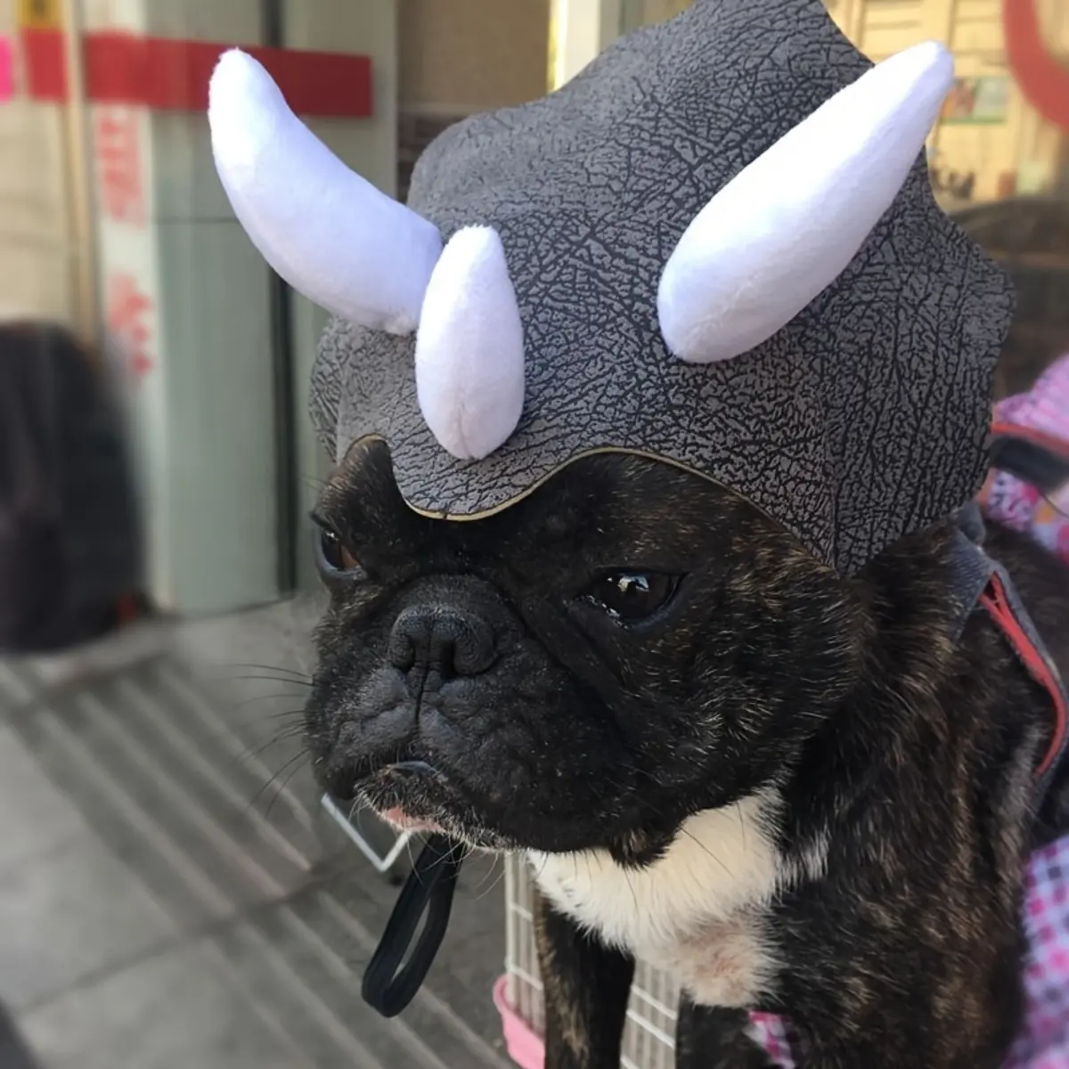 Premium 2Pcs Dog Halloween Costume Hat, High-Quality Funny French Bulldog Cosplay Cap with Big Eyes, Durable Polyester Pet Headwear Combo for Puppy Kitten Holiday Photo Shoot Props