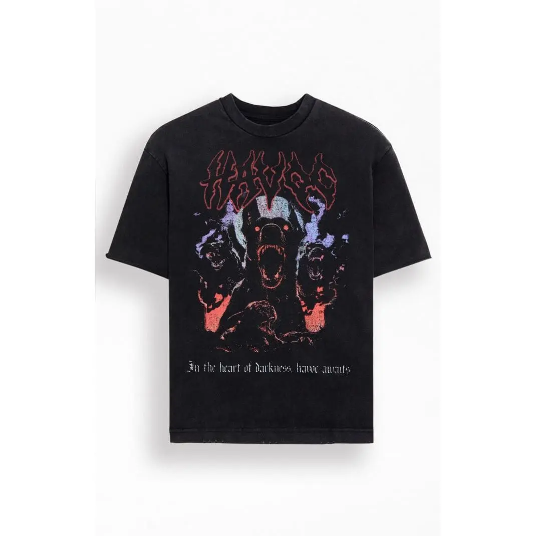 Pacsun Men's Havoc Awaits T-Shirt