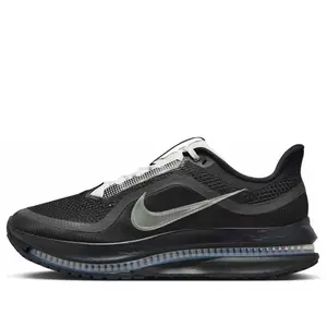 Nike Pegasus Premium SP 'Black Metallic Silver' IH4369-001