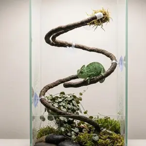 Mini Forest Vine & Suction Cup Plug Set, Universal Climbing Rack for Spider Lizards, Bio-Inspired Climbing Vines, Rainforest Tank Decor