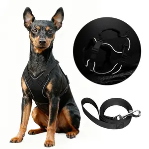 Lightweight Pull Tactical Harness Vest, Safety Harness, Soft Fit Reflective Dog Backpack Strap, Suitable for Outdoor Small Medium Dogs Leash