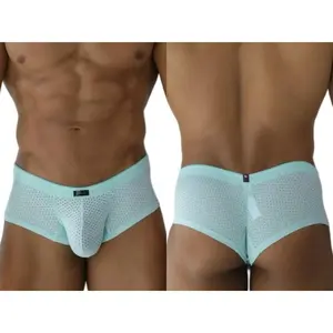 Microfiber Mesh Briefs