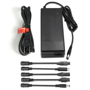 24v-29.4 2A Fast Charger for 24V Electric bike Lithium Battery Go-Go Elite Traveller（Not Suitable for Lead-Acid Batterie)